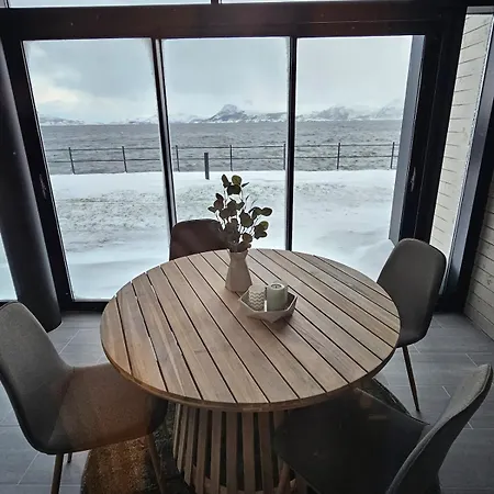 Stor Og Ny Med Fjordutsikt Apartment Sande (Selje)